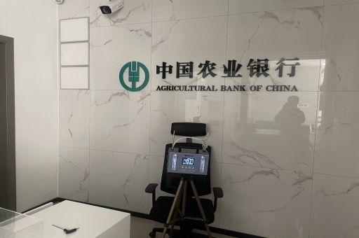 快速有效除甲醛，專業(yè)治理值得信賴